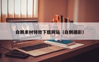 太康白鹅素材特效下载网站（白鹅摄影）